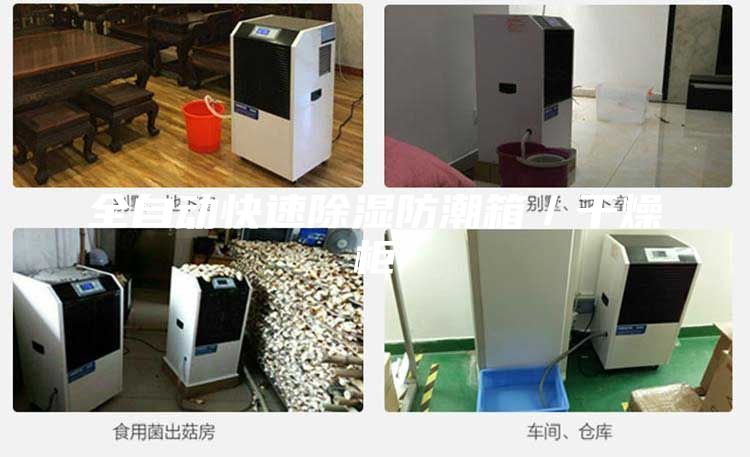 全自动快速除湿防潮箱／干燥柜