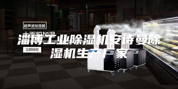 淄博工业除湿机安诗曼除湿机生产厂家