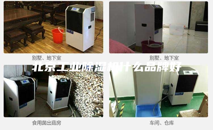 北京工业除湿机什么品牌好