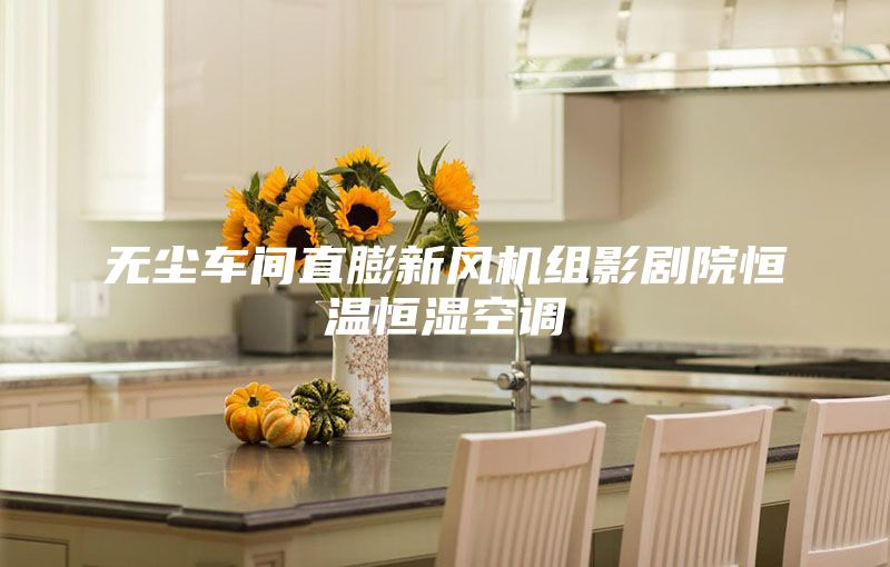 无尘车间直膨新风机组影剧院恒温恒湿空调