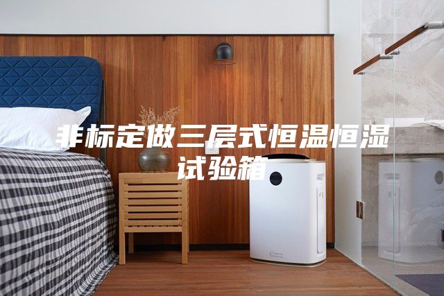 非标定做三层式恒温恒湿试验箱