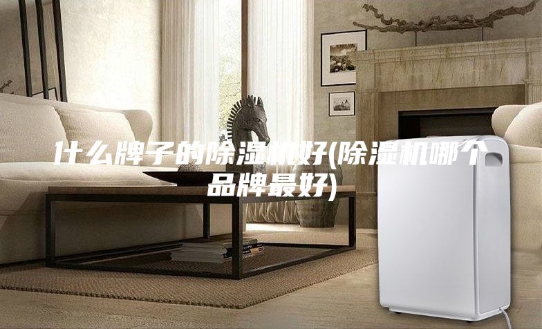 什么牌子的除湿机好(除湿机哪个品牌最好)