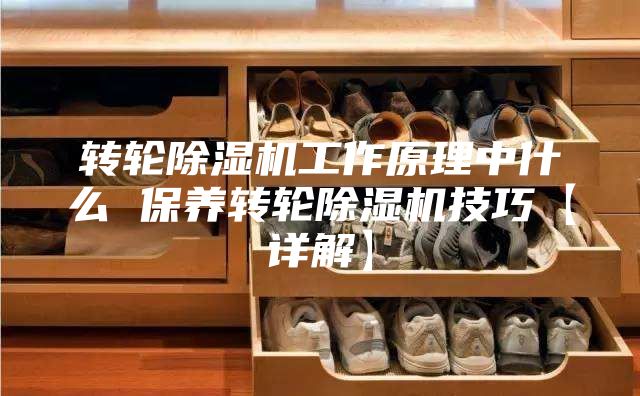 转轮除湿机工作原理中什么 保养转轮除湿机技巧【详解】