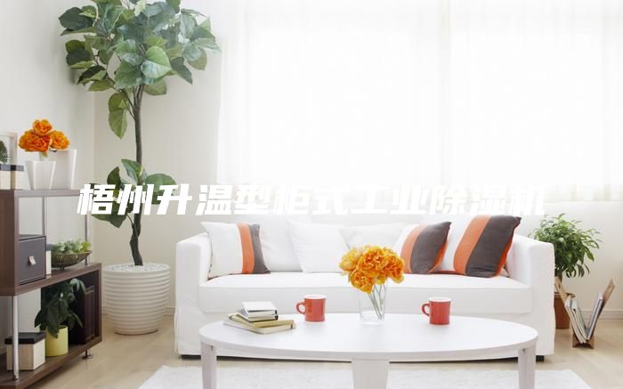 梧州升温型柜式工业除湿机