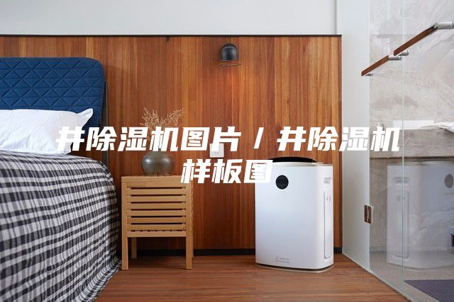 井除湿机图片／井除湿机样板图