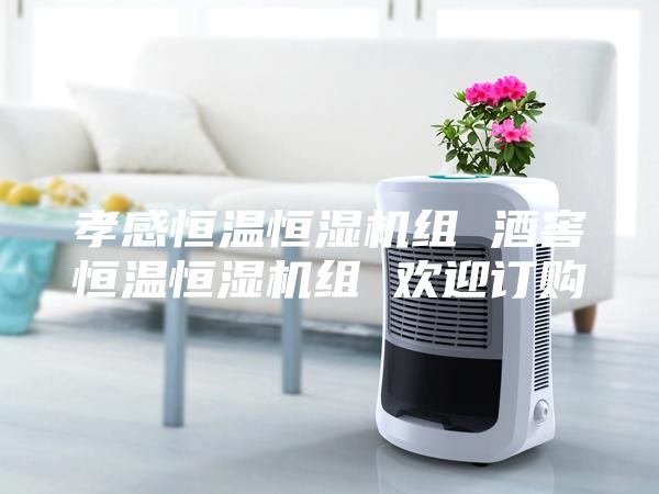 孝感恒温恒湿机组 酒窖恒温恒湿机组 欢迎订购