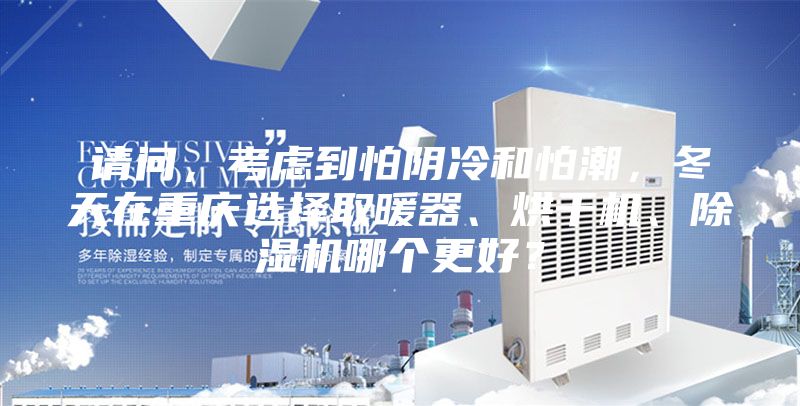 请问，考虑到怕阴冷和怕潮，冬天在重庆选择取暖器、烘干机、除湿机哪个更好？