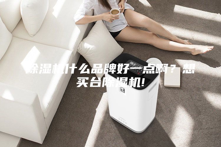 除湿机什么品牌好一点啊？想买台除湿机!