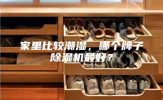 家里比较潮湿，哪个牌子除湿机最好？