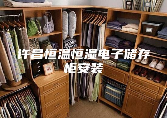 许昌恒温恒湿电子储存柜安装