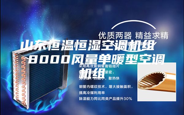 山东恒温恒湿空调机组  8000风量单暖型空调机组