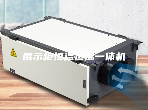 展示柜恒温恒湿一体机