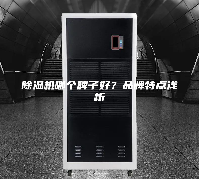除湿机哪个牌子好？品牌特点浅析
