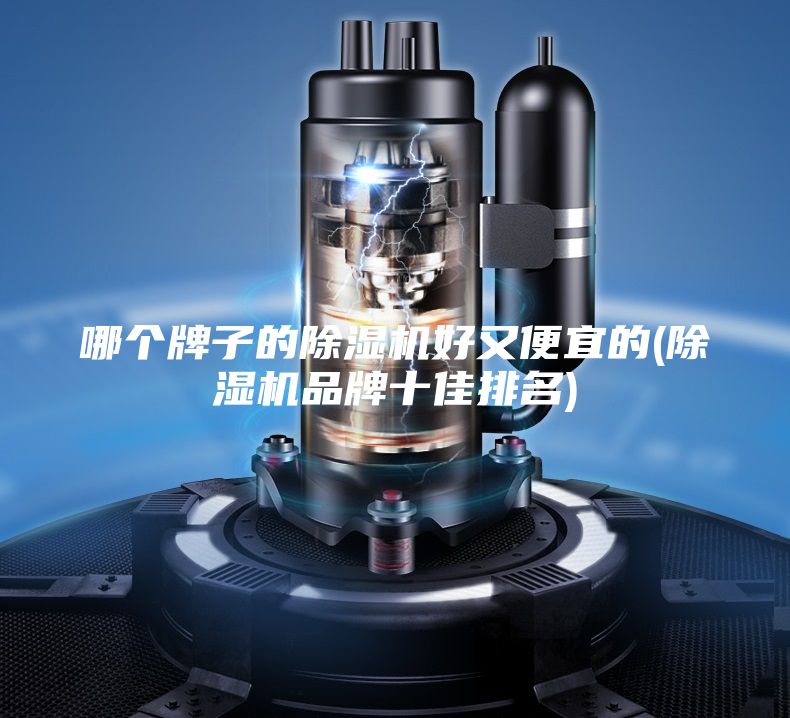 哪个牌子的除湿机好又便宜的(除湿机品牌十佳排名)