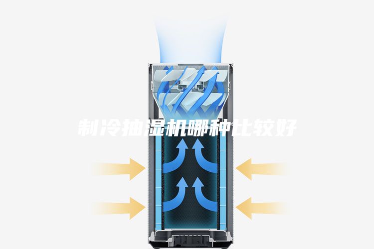制冷抽湿机哪种比较好