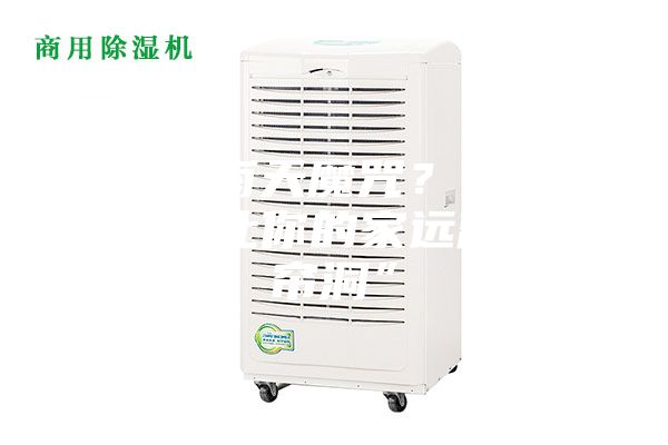 打破回南天魔咒？选对除湿机，让你的家远离“水帘洞”