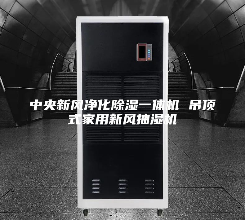 中央新风净化除湿一体机 吊顶式家用新风抽湿机