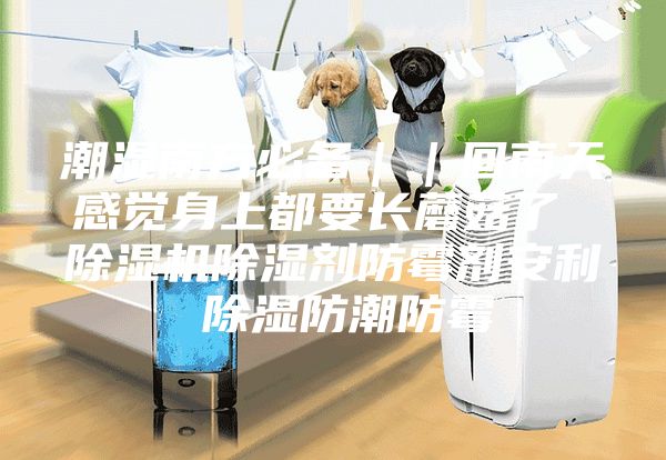 潮湿南方必备｜｜回南天感觉身上都要长蘑菇了 除湿机除湿剂防霉剂安利 除湿防潮防霉