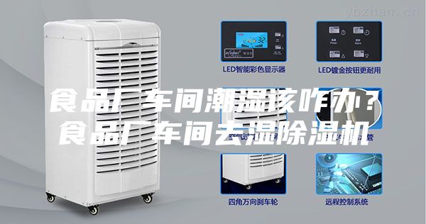 食品厂车间潮湿该咋办？食品厂车间去湿除湿机
