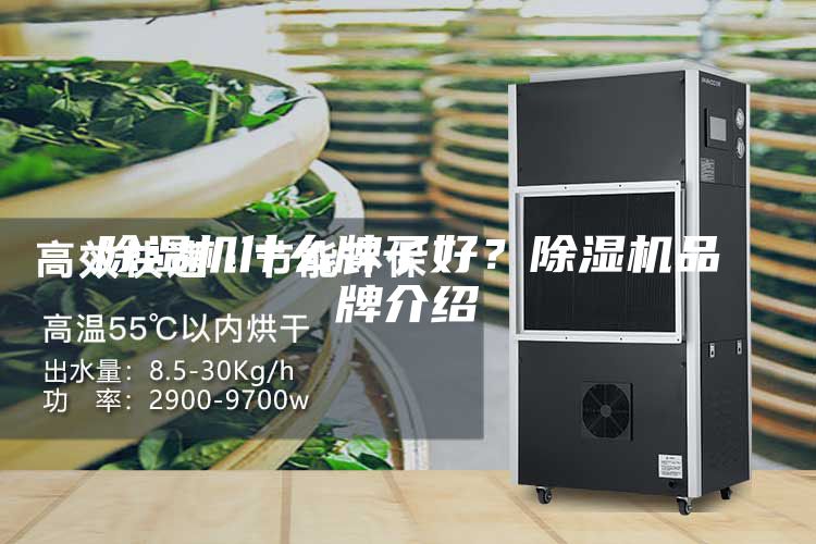 除湿机什么牌子好？除湿机品牌介绍