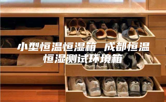 小型恒温恒湿箱 成都恒温恒湿测试环境箱