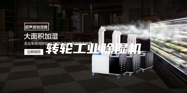 转轮工业除湿机