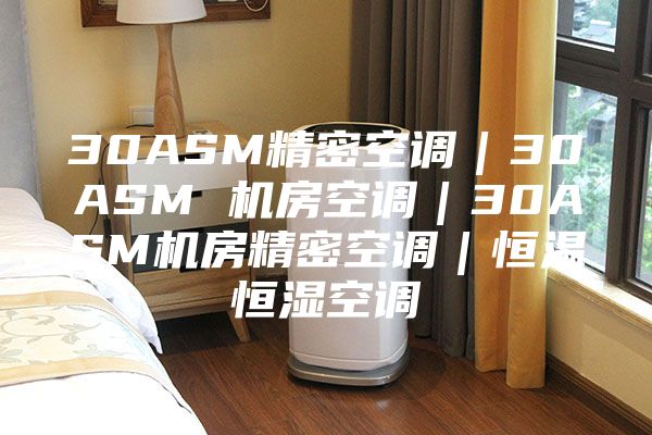 30ASM精密空调｜30ASM 机房空调｜30ASM机房精密空调｜恒温恒湿空调