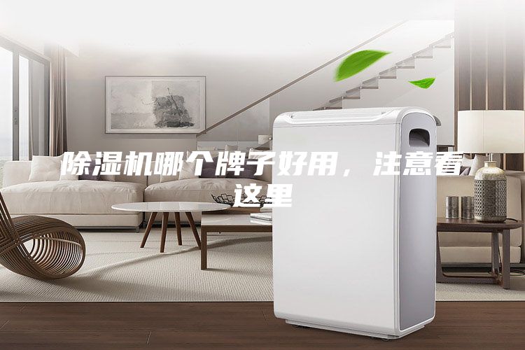 除湿机哪个牌子好用，注意看这里