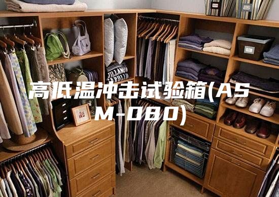 高低温冲击试验箱(ASM-080)