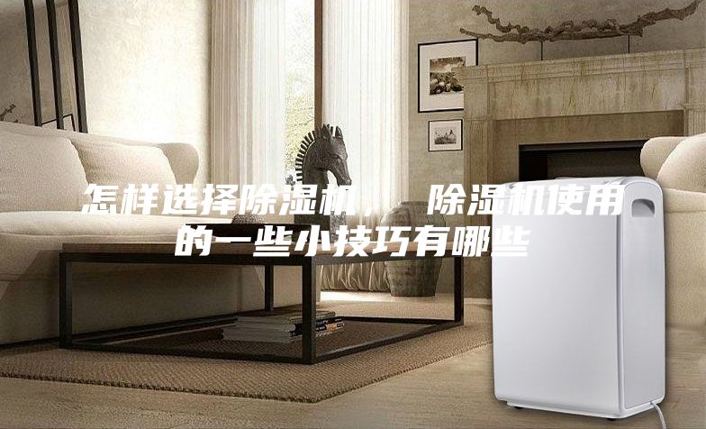 怎样选择除湿机， 除湿机使用的一些小技巧有哪些