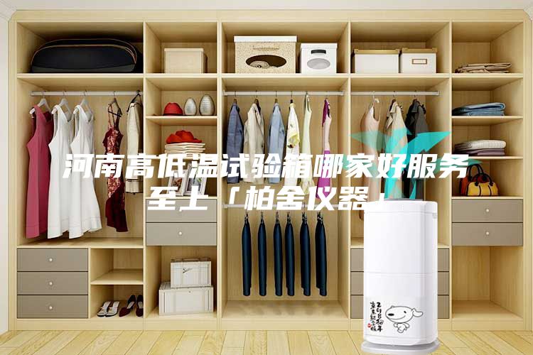 河南高低温试验箱哪家好服务至上「柏舍仪器」