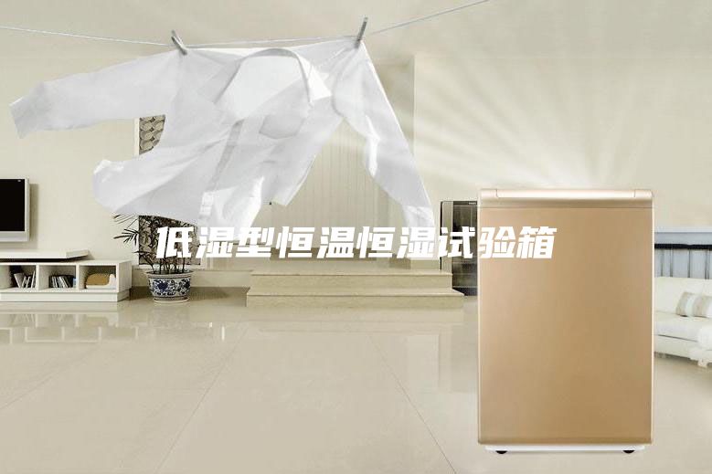 低湿型恒温恒湿试验箱
