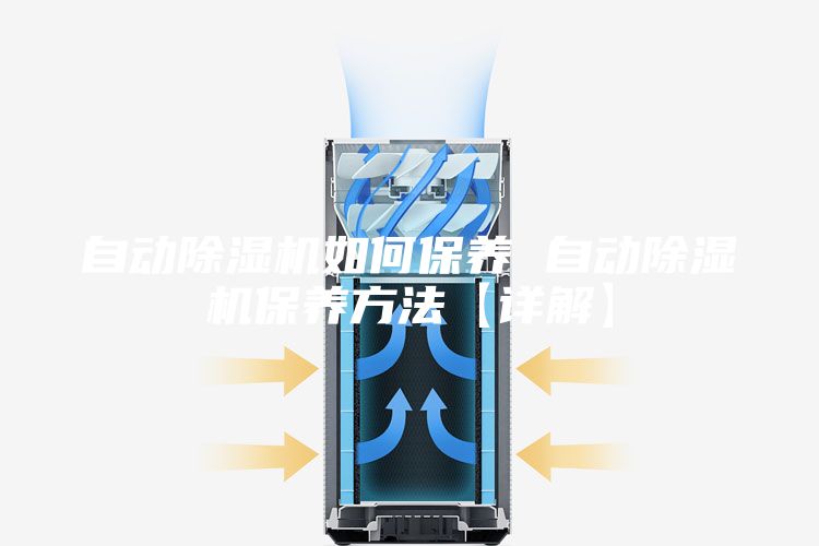 自动除湿机如何保养 自动除湿机保养方法【详解】