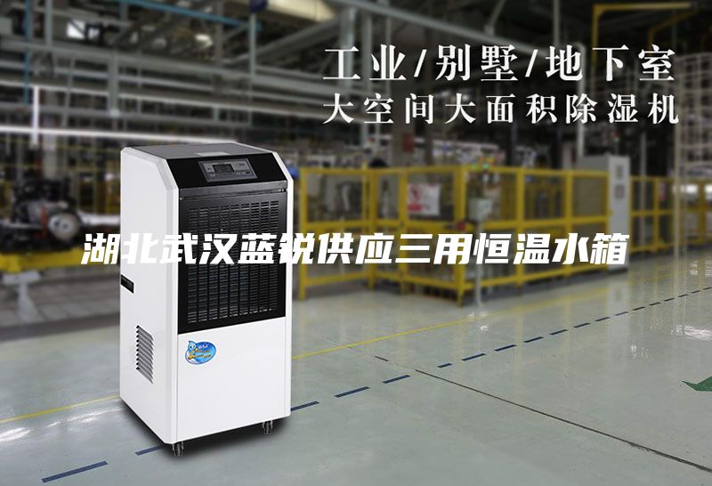 湖北武汉蓝锐供应三用恒温水箱