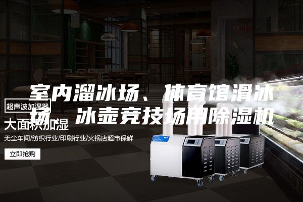 室内溜冰场、体育馆滑冰场、冰壶竞技场用除湿机
