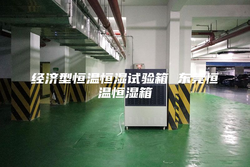 经济型恒温恒湿试验箱 东莞恒温恒湿箱