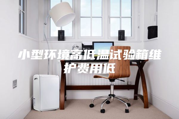 小型环境高低温试验箱维护费用低