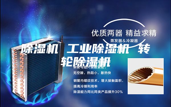 除湿机 工业除湿机 转轮除湿机
