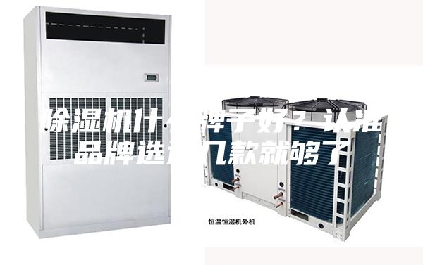 除湿机什么牌子好？认准品牌选这几款就够了