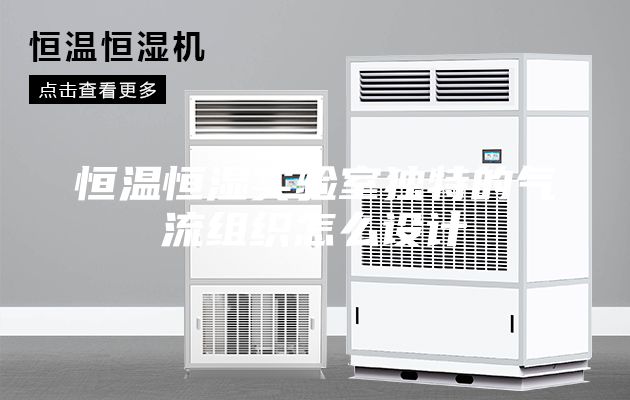 恒温恒湿实验室独特的气流组织怎么设计