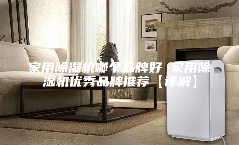 家用除湿机哪个品牌好 家用除湿机优秀品牌推荐【详解】