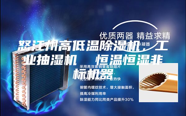 怒江州高低温除湿机，工业抽湿机  恒温恒湿非标机器