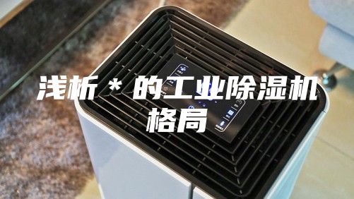 浅析＊的工业除湿机格局