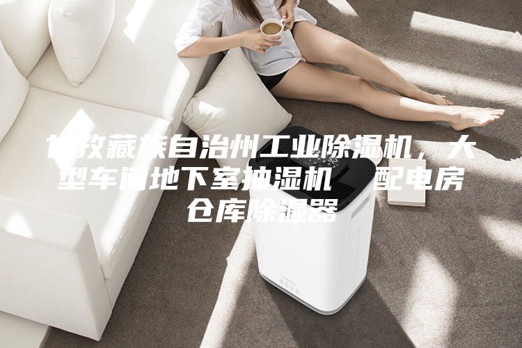 甘孜藏族自治州工业除湿机，大型车间地下室抽湿机  配电房仓库除湿器