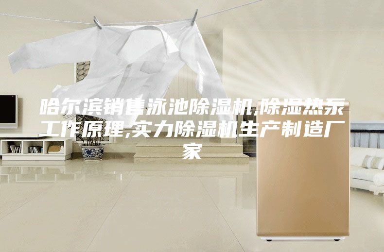 哈尔滨销售泳池除湿机,除湿热泵工作原理,实力除湿机生产制造厂家