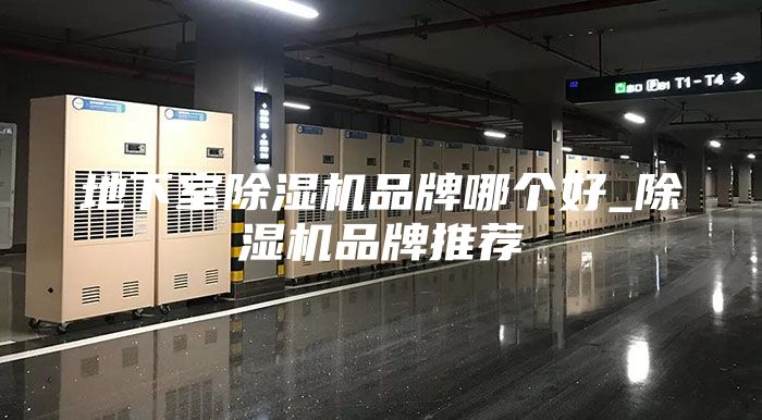 地下室除湿机品牌哪个好_除湿机品牌推荐
