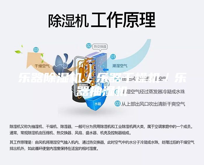 乐器除湿机／乐器干燥机／乐器抽湿机