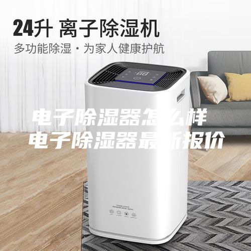 电子除湿器怎么样 电子除湿器最新报价