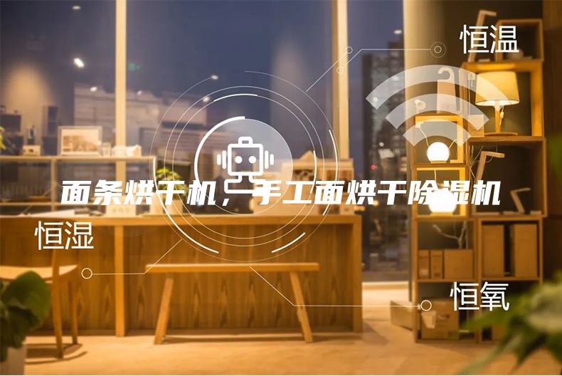 面条烘干机，手工面烘干除湿机