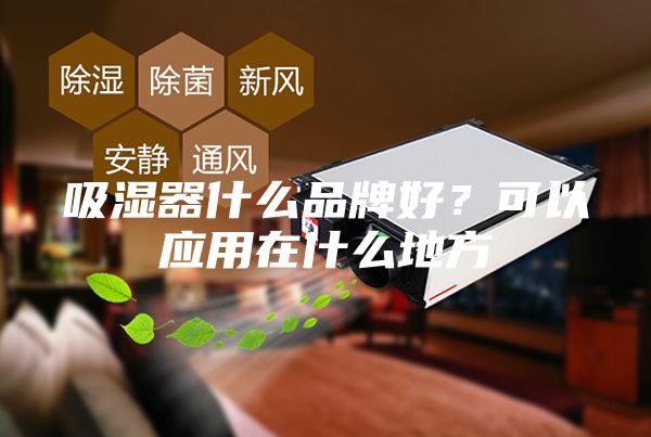 吸湿器什么品牌好？可以应用在什么地方